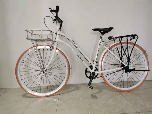 Porte - Bagages Avant - velo │avec Panier - Velo Sympa qc
